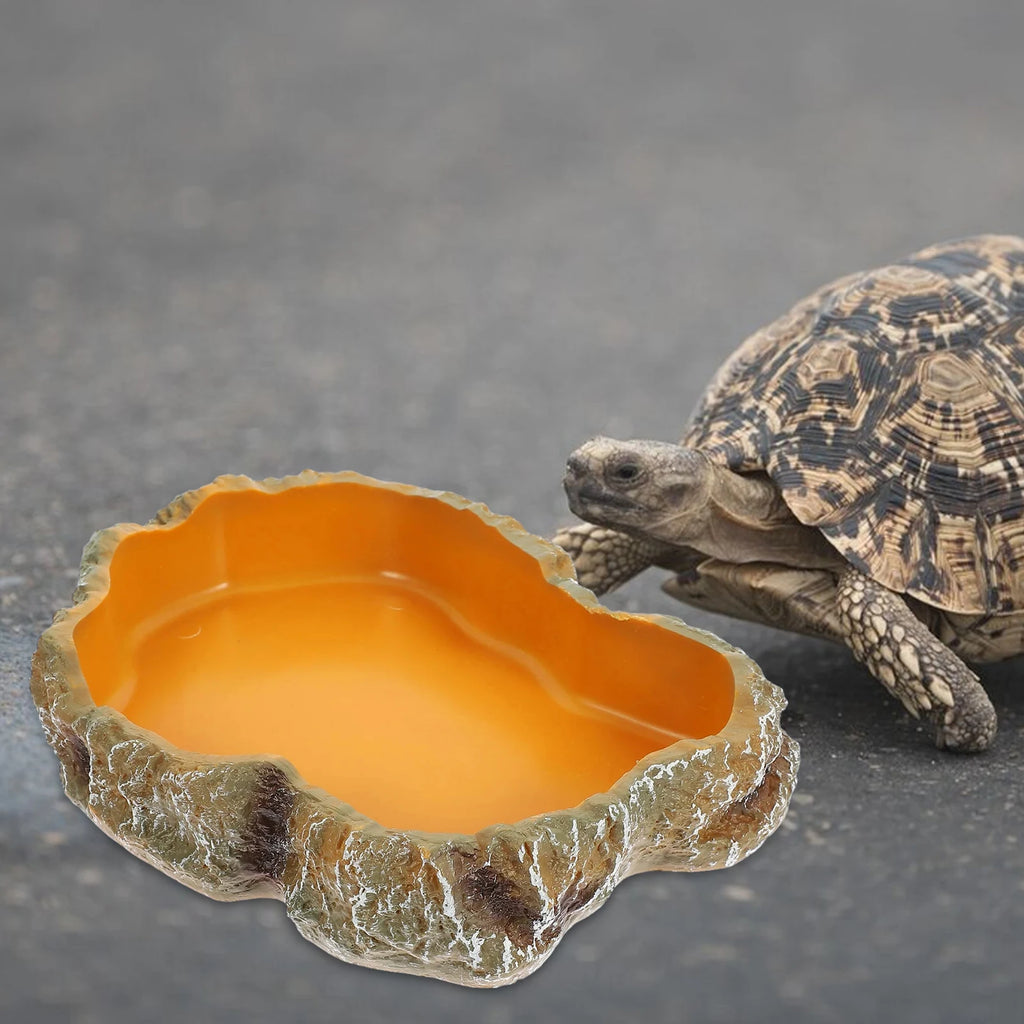 Reptile Water Bowl — Terrarium Feeding Dish for Frogs, Chameleons & Tortoises