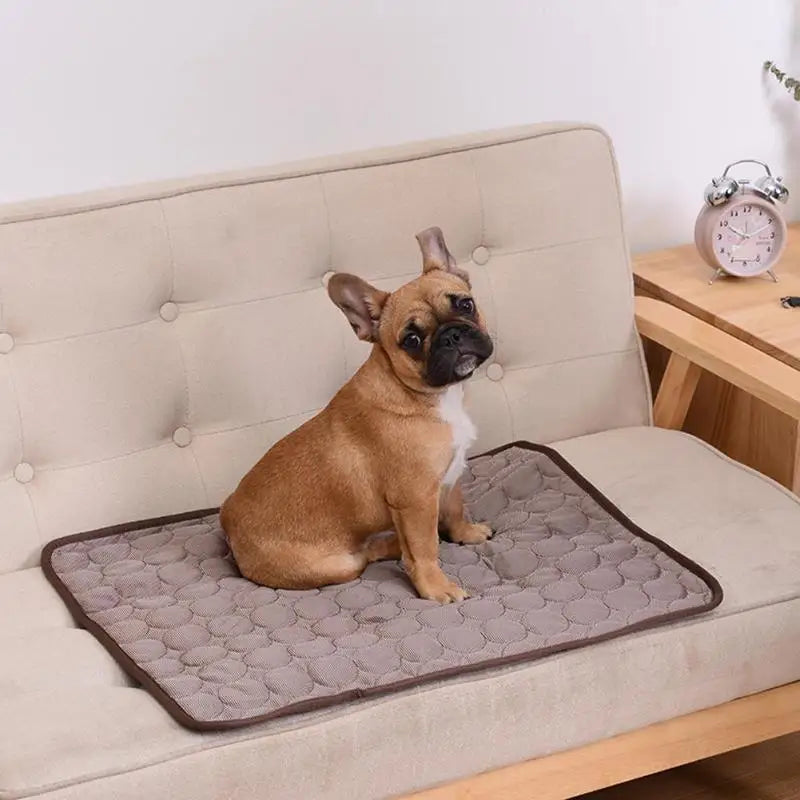 Breathable Cooling Mat — Mesh Summer Pad for Dogs & Cats, S–XXL