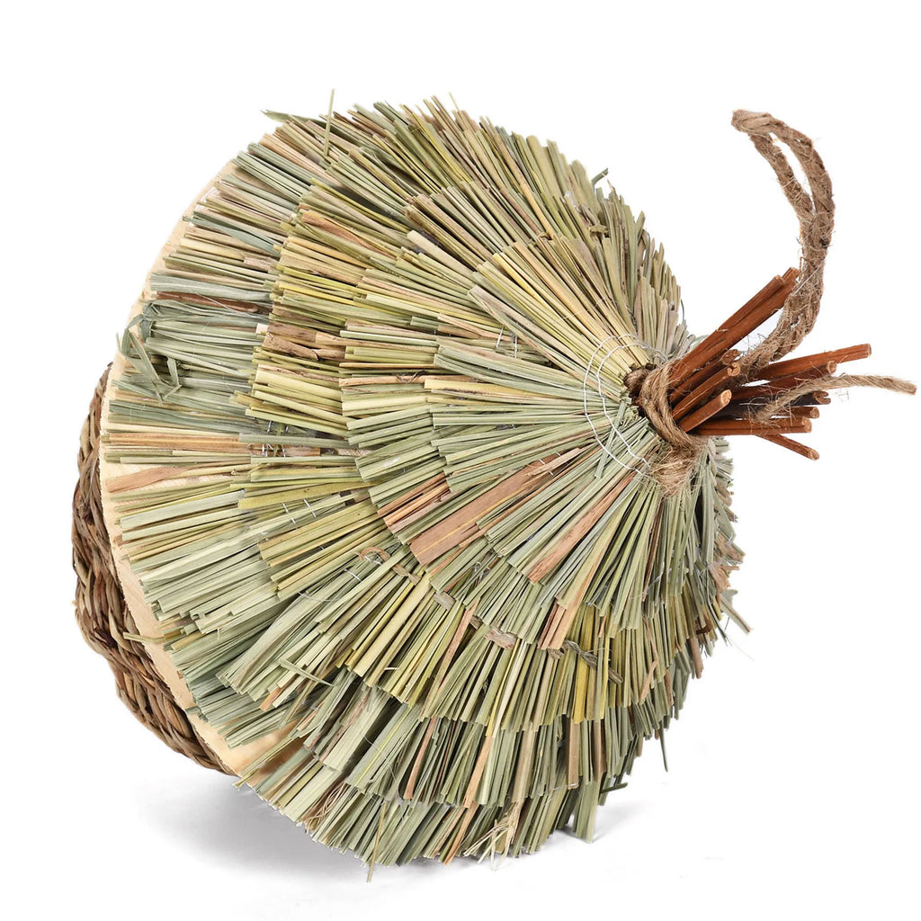 Coconut Bird Nest House — Wood Hanging Breeding Nest for Parrots & Lovebirds