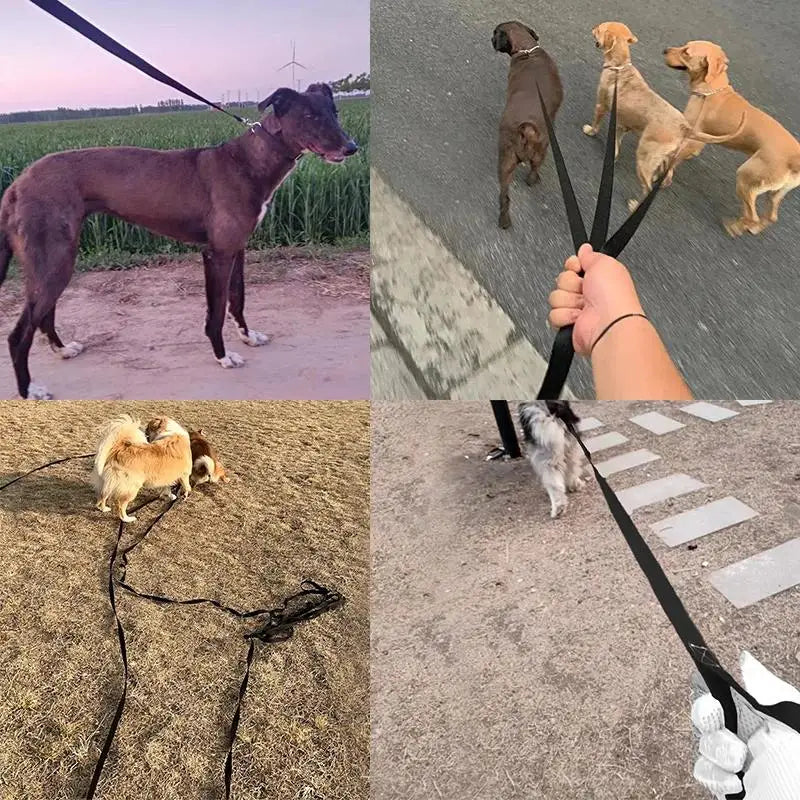 Heavy-Duty Nylon Dog Leash — Long-Line Training Rope, 1.5m to 50m