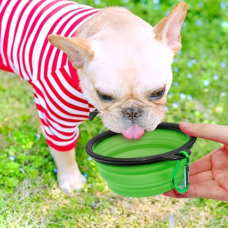 Collapsible Travel Bowl — Portable Silicone Food & Water Bowl for Dogs & Cats