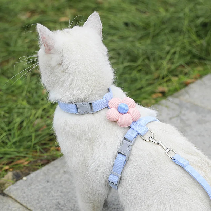 Cat & Dog Harness and Leash Set — Adjustable Breathable Walking Harness