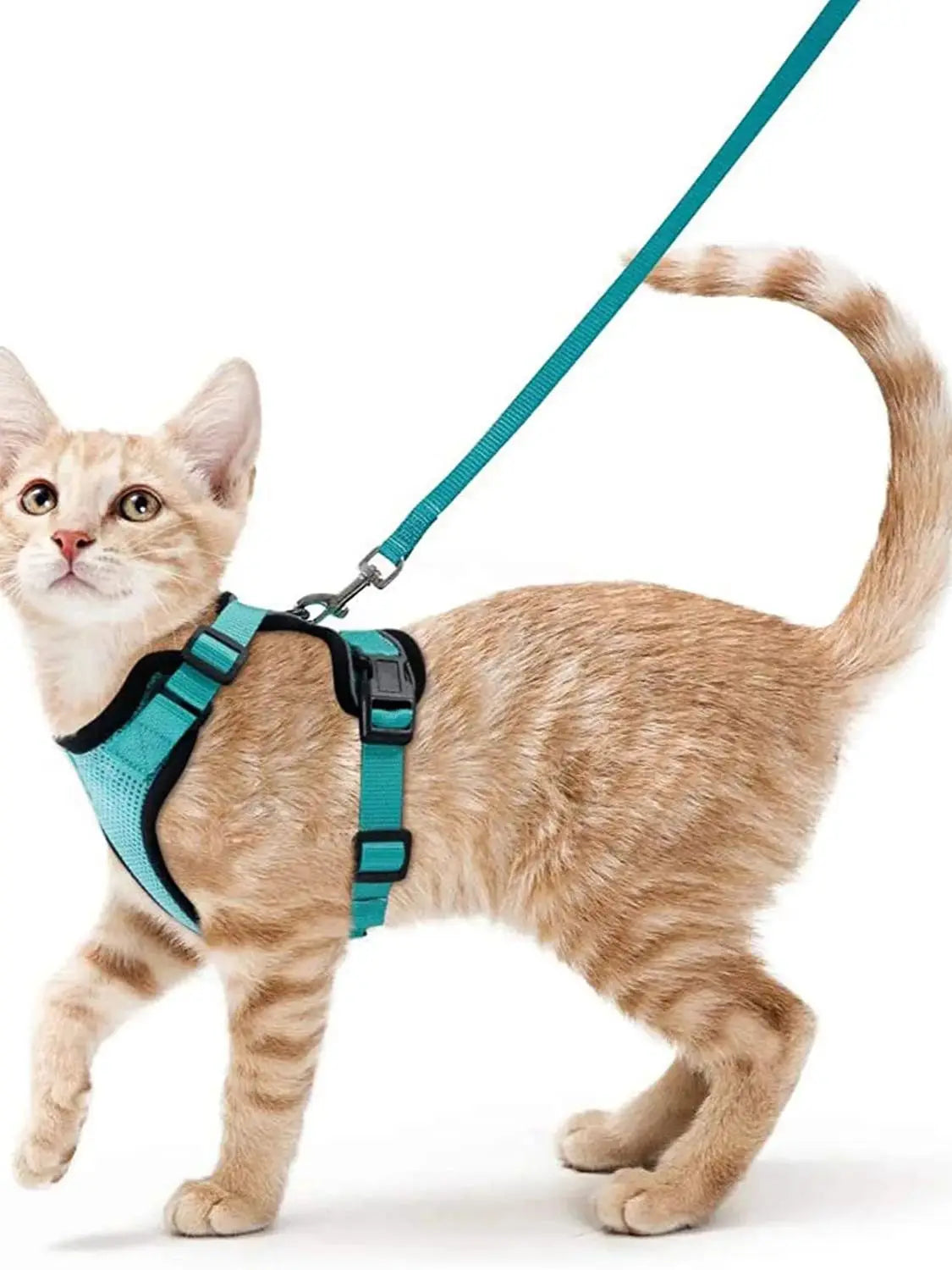 Escape-Proof Cat Harness & Leash Set — Soft Adjustable Vest for Easy Control