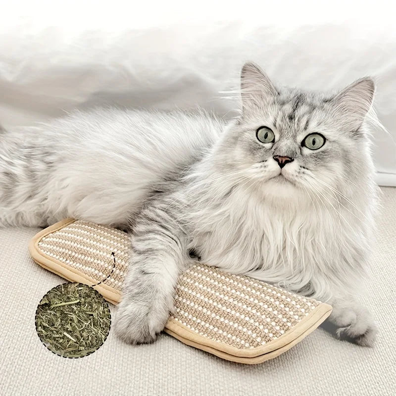 Chew-Resistant Cat Pillow & Scratching Pad — Soft Teething Bed Cover