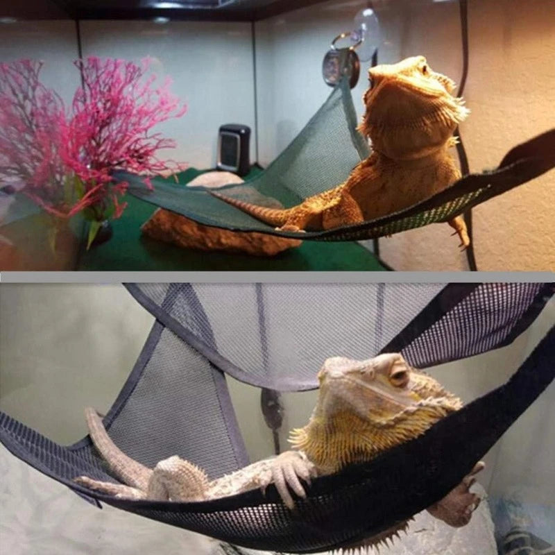 Reptile Hammock & Ladder Set — Lounging Accessories for Bearded Dragons & Geckos
