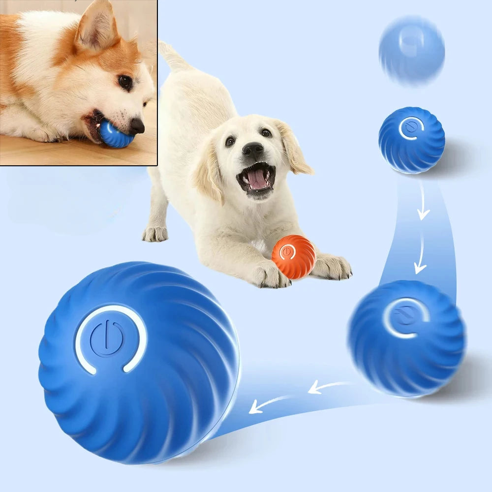USB Rechargeable Bouncing Dog Ball — Automatic Interactive Chew Toy