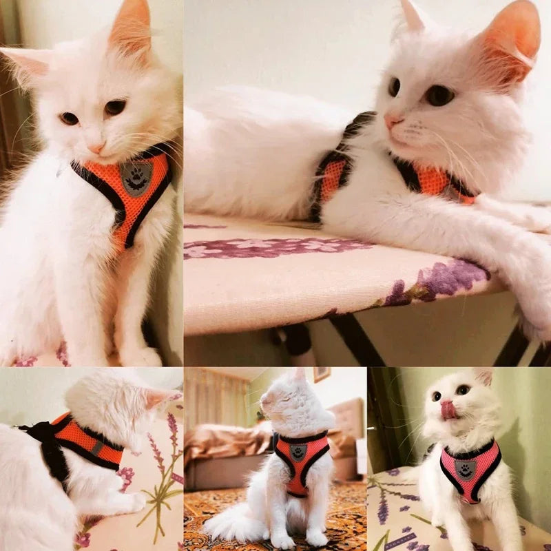 Adjustable Mesh Cat & Dog Harness — Breakaway Walking Vest with Quick Release