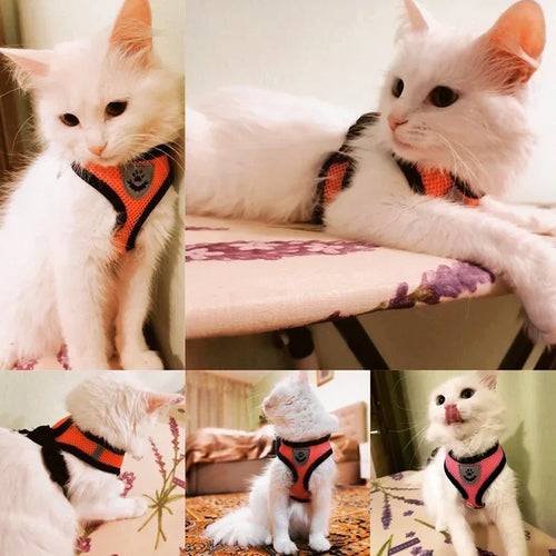 Adjustable Mesh Cat & Dog Harness — Breakaway Walking Vest with Quick Release