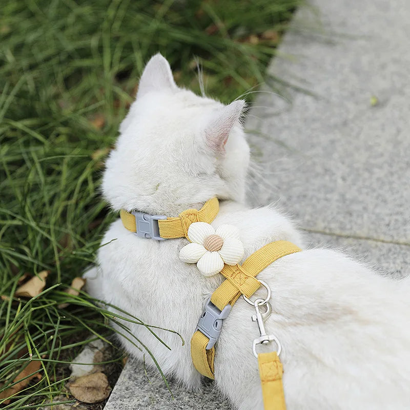 Cat & Dog Harness and Leash Set — Adjustable Breathable Walking Harness