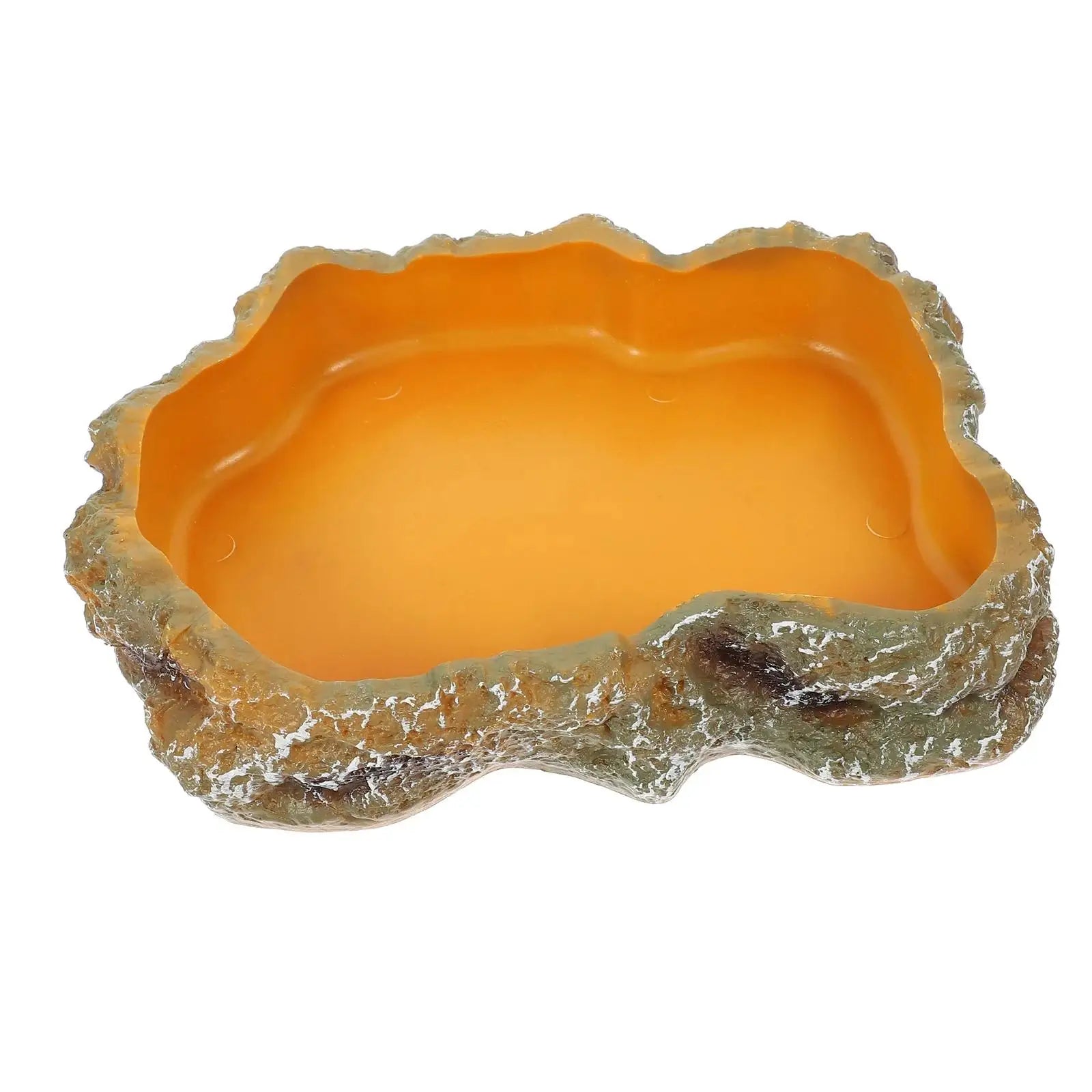 Reptile Water Bowl — Terrarium Feeding Dish for Frogs, Chameleons & Tortoises