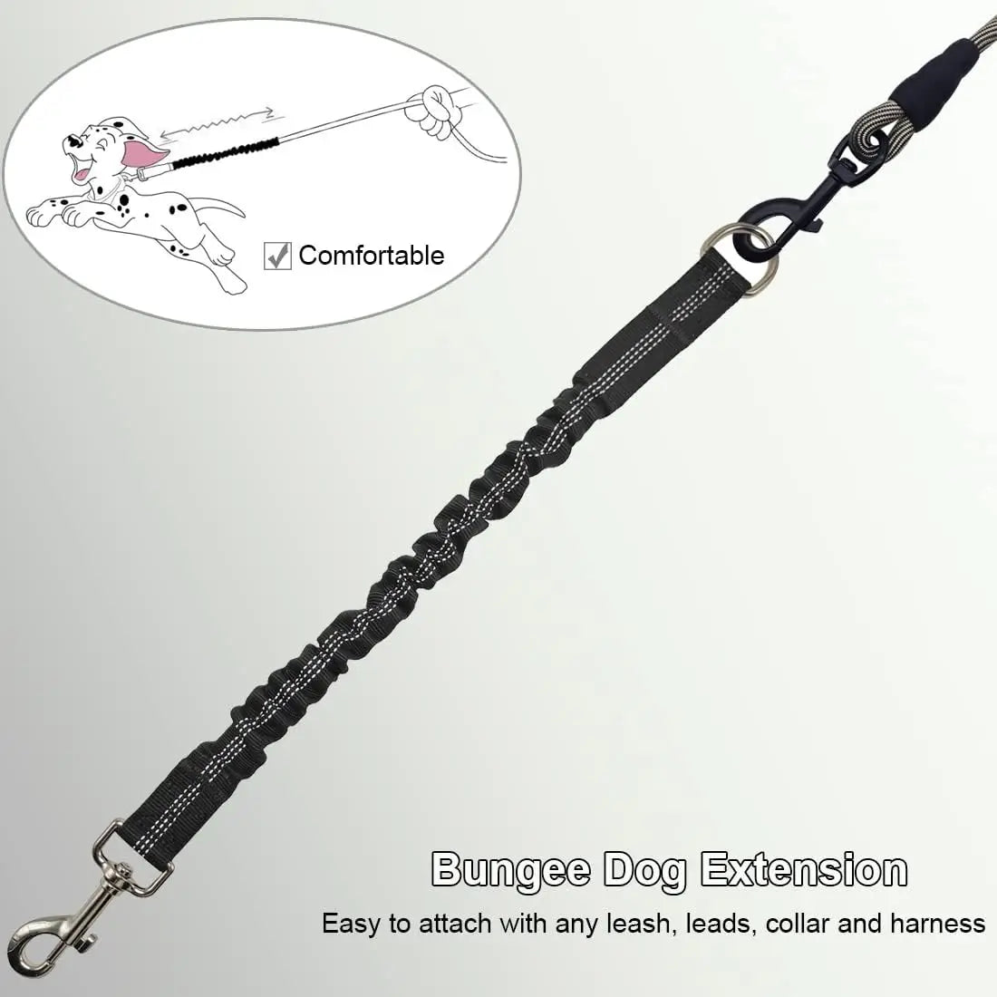 Adjustable Dog Leash Extension — Retractable Extender with Metal Buckle