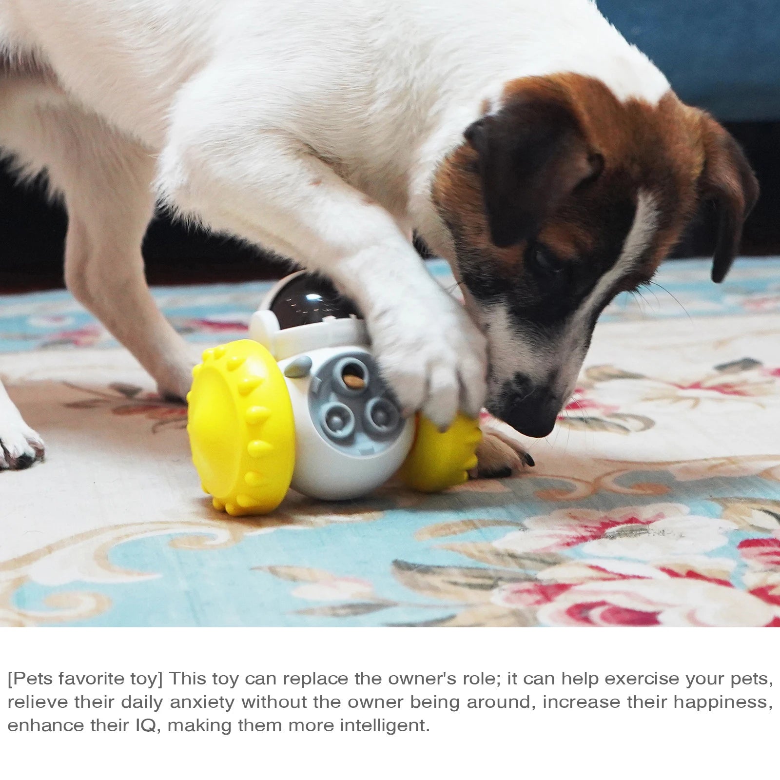 Balance Car Slow Feeder Toy — Gravity Treat Dispenser for Dogs & Cats