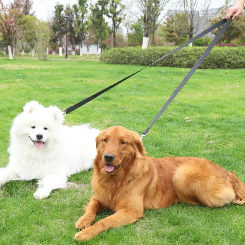 Double-Ended Training Leash — Adjustable Chain-Style Dog Lead