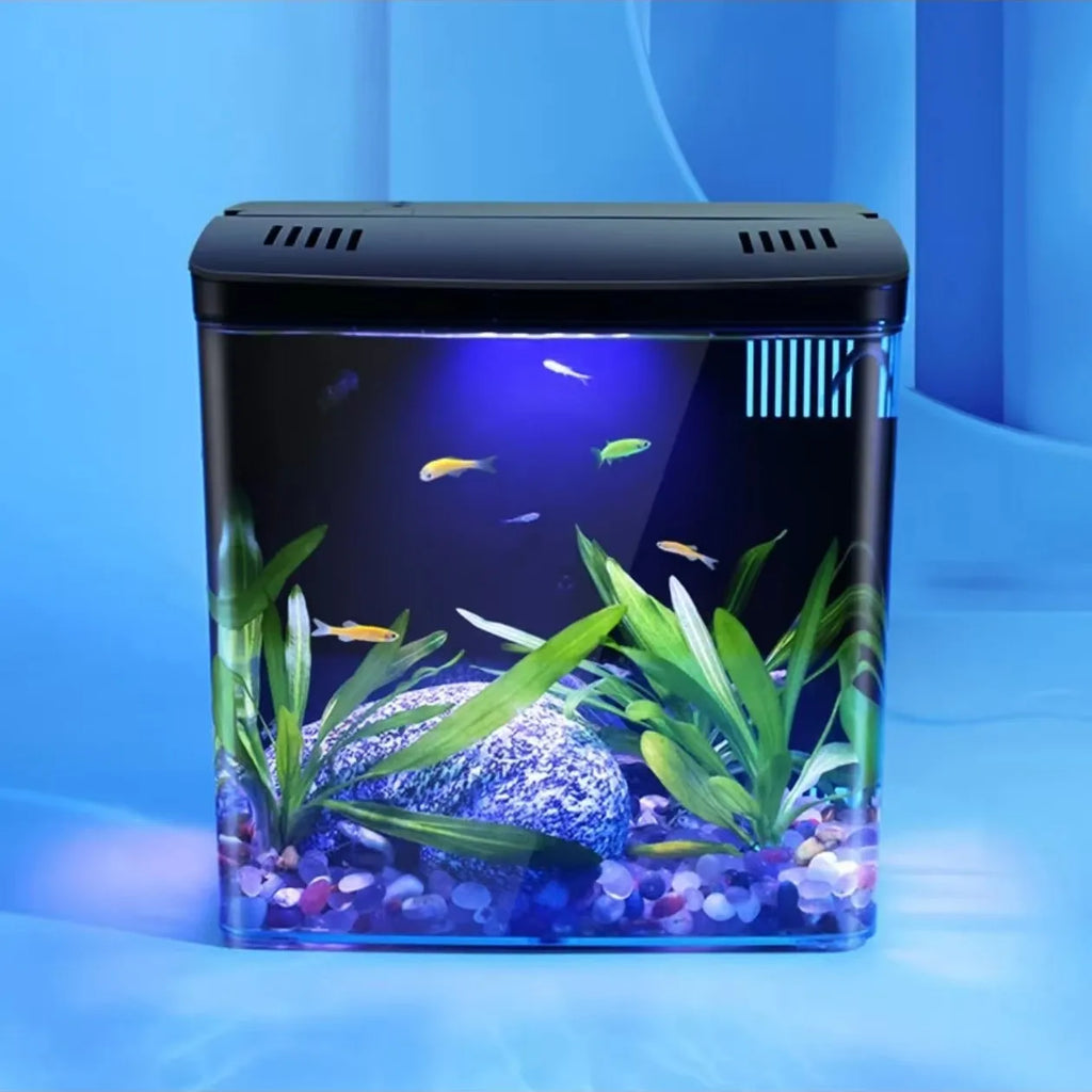 Self-Circulating Goldfish Tank — Tabletop Aquarium with Optional Heater