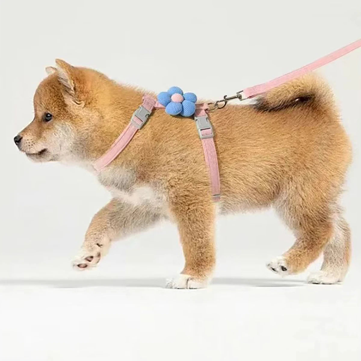 Cat & Dog Harness and Leash Set — Adjustable Breathable Walking Harness