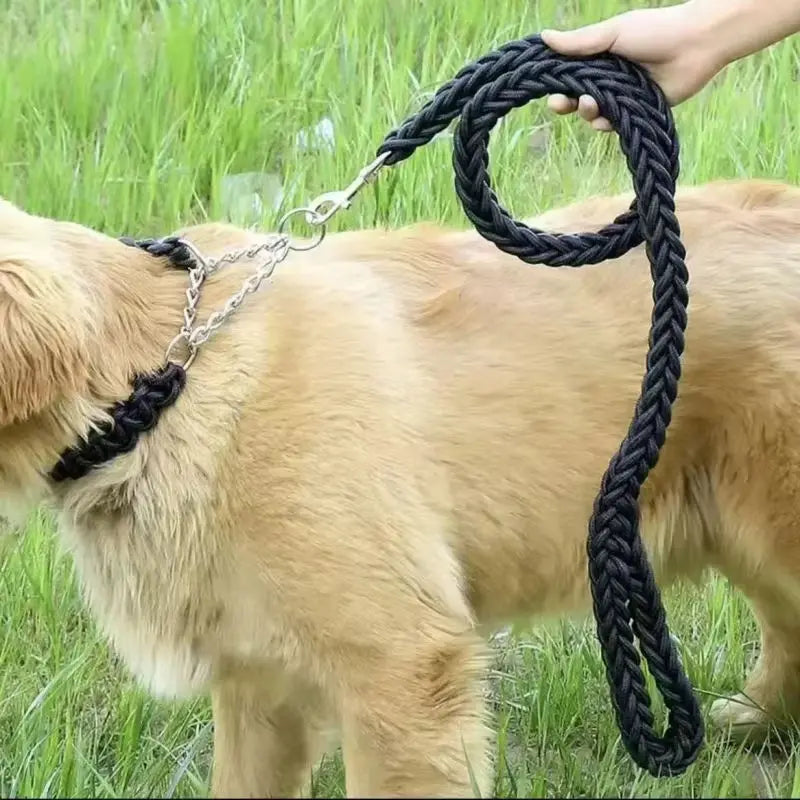 Braided Dog Training Leash — Strong Durable Leash for Large Dogs