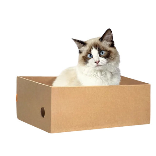 4-Pack Cardboard Cat Scratcher Boxes — Stackable Scratching Pads for Indoor Cats