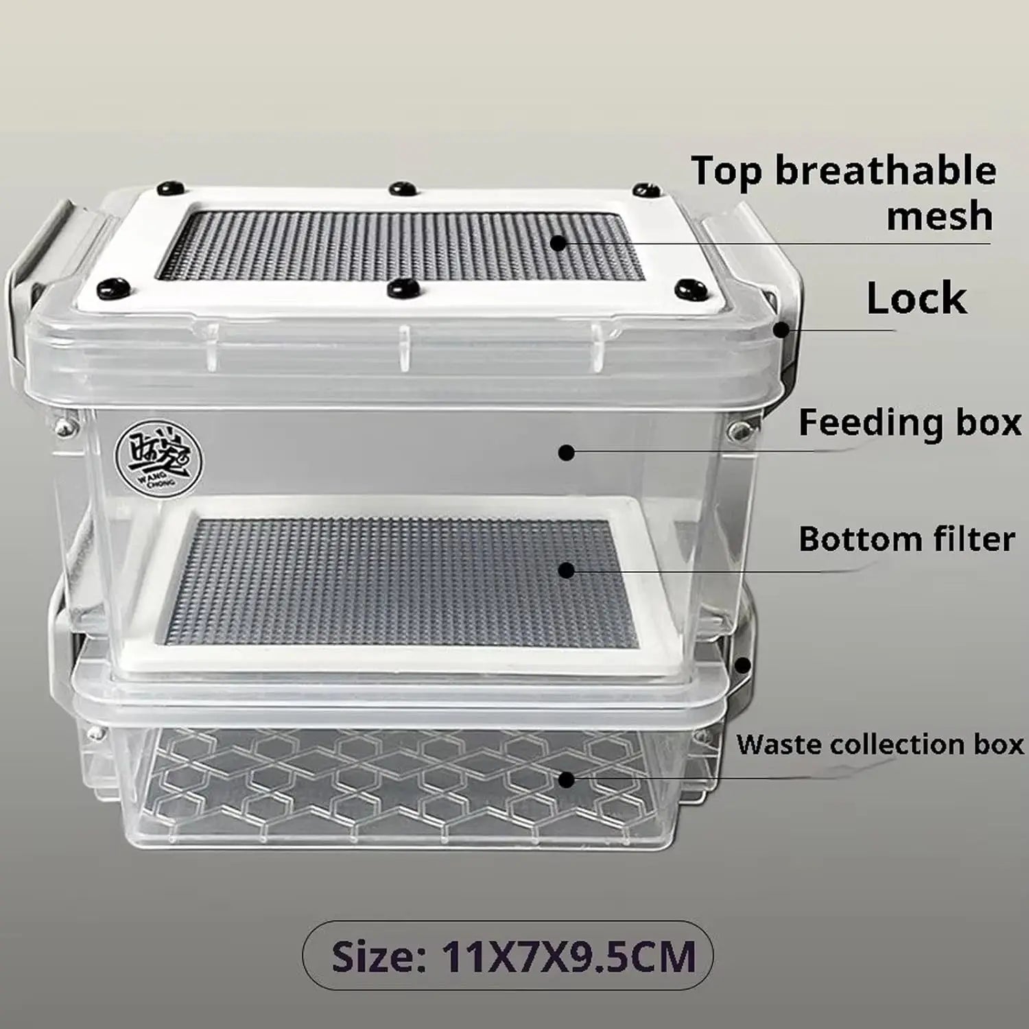 Acrylic Reptile Feeding Box — Clear Feeder Storage for Lizards & Chameleons