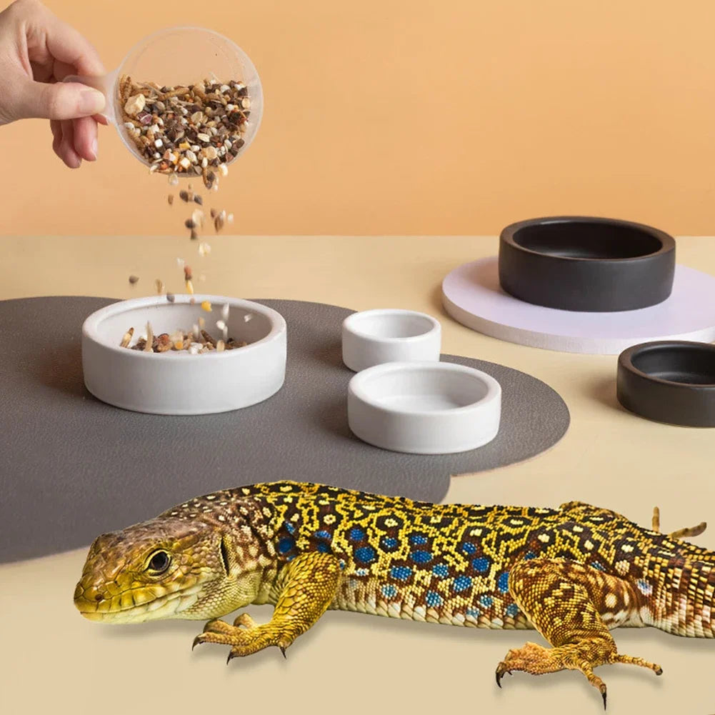 Anti-Escape Ceramic Reptile Bowl — Food & Water Dish for Geckos & Hermit Crabs