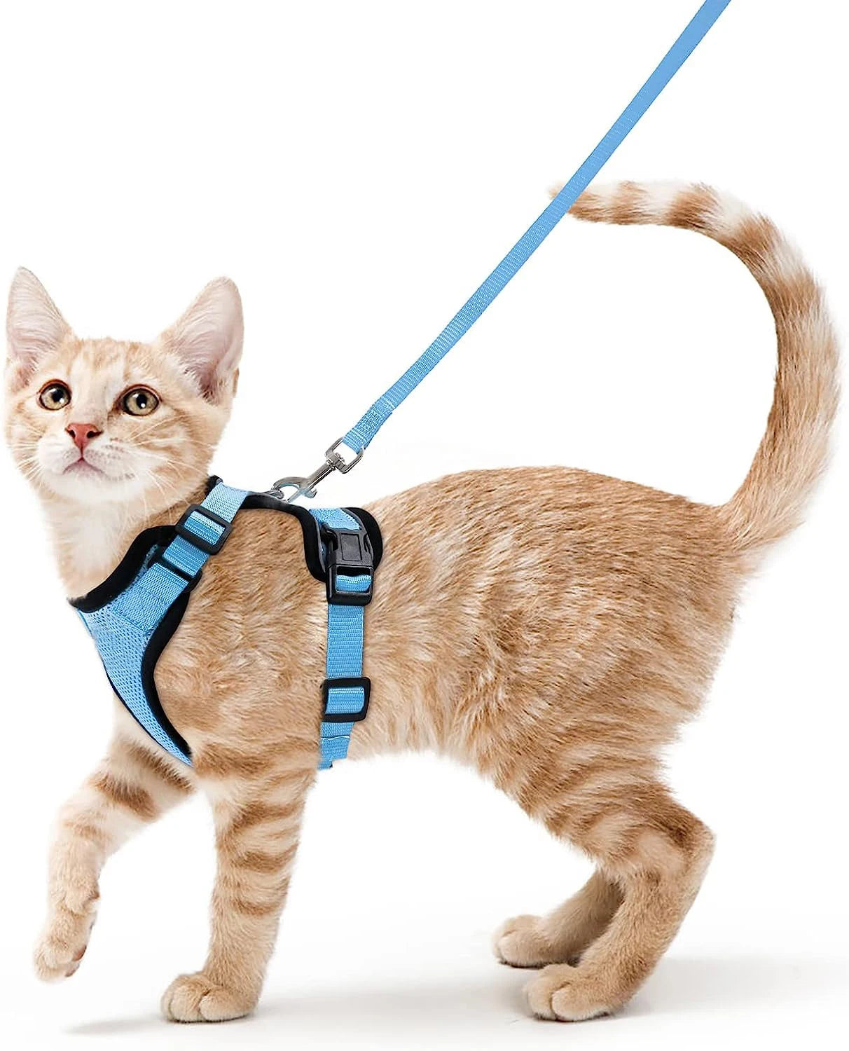 Escape-Proof Cat Harness & Leash Set — Soft Adjustable Vest for Easy Control