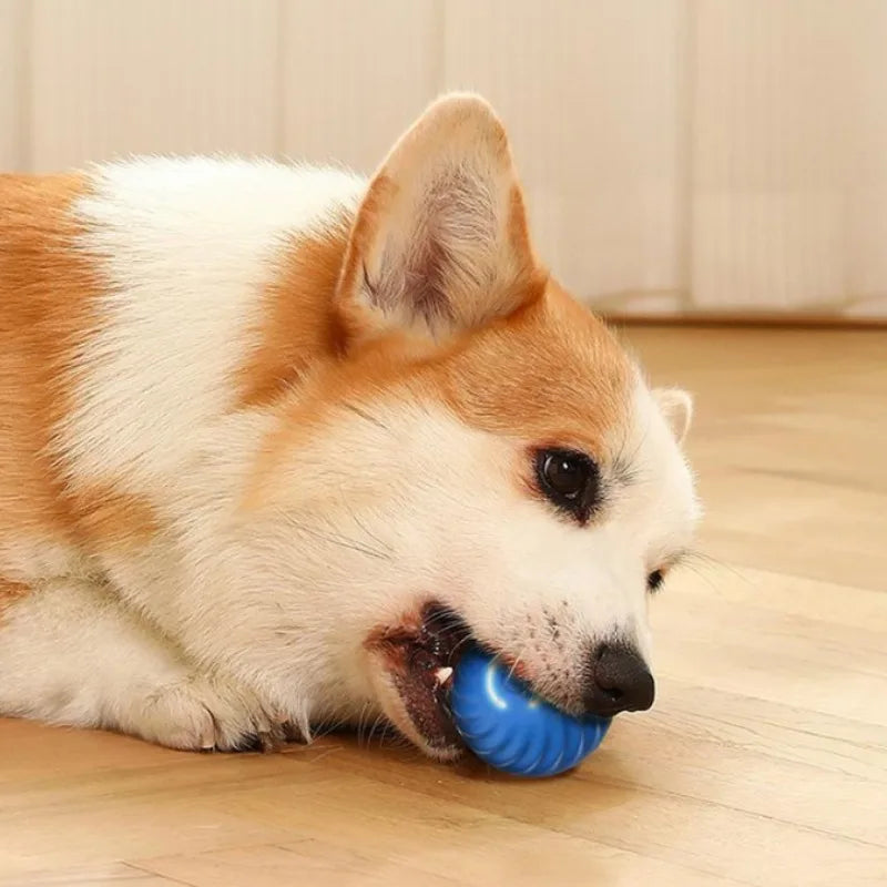 Smart Jumping Dog Ball — USB Rechargeable Rotating Chew Toy