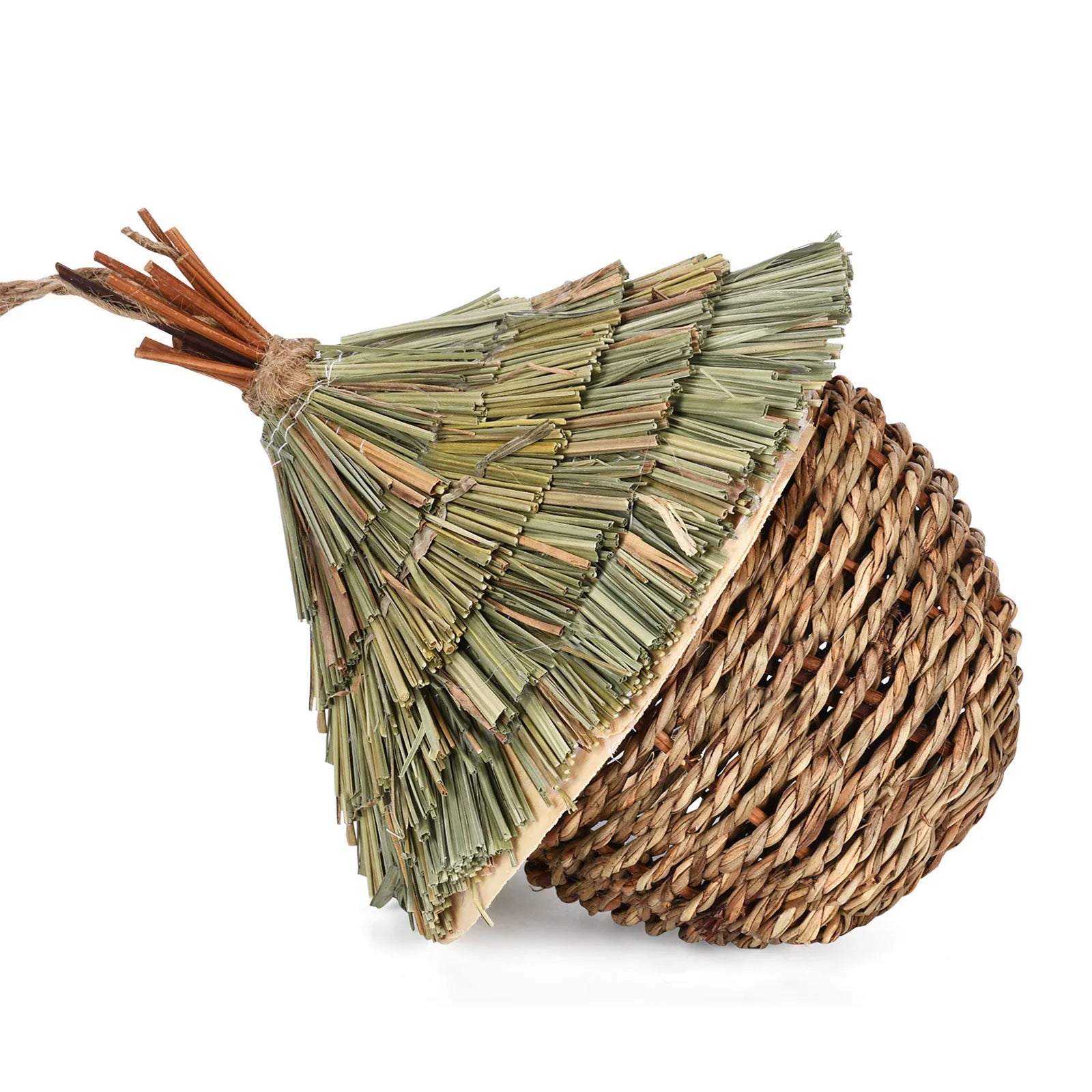 Coconut Bird Nest House — Wood Hanging Breeding Nest for Parrots & Lovebirds