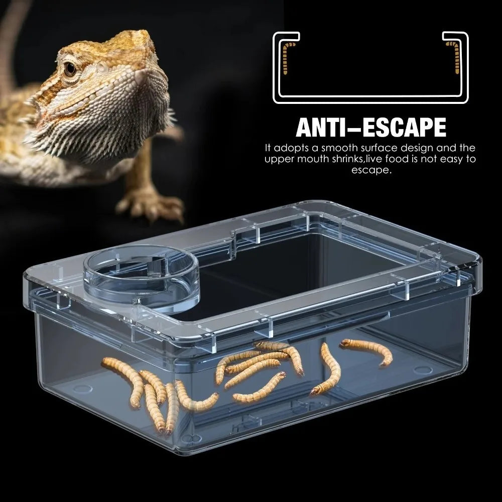 Anti-Overturn Reptile Feeding Trough — Live Feed Bowl for Lizards & Geckos