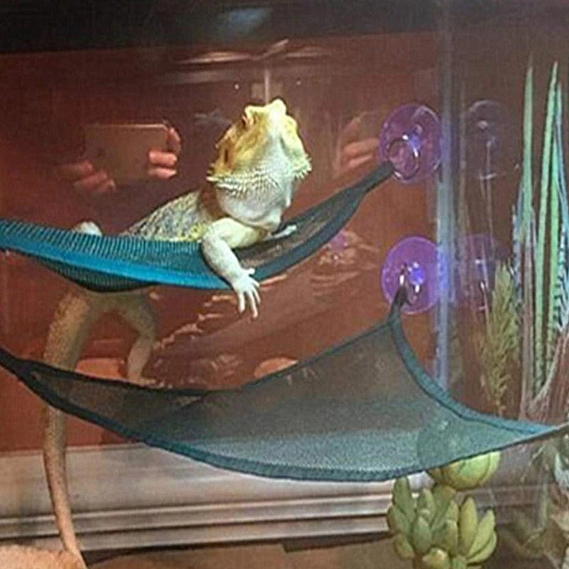 Reptile Hammock & Ladder Set — Lounging Accessories for Bearded Dragons & Geckos