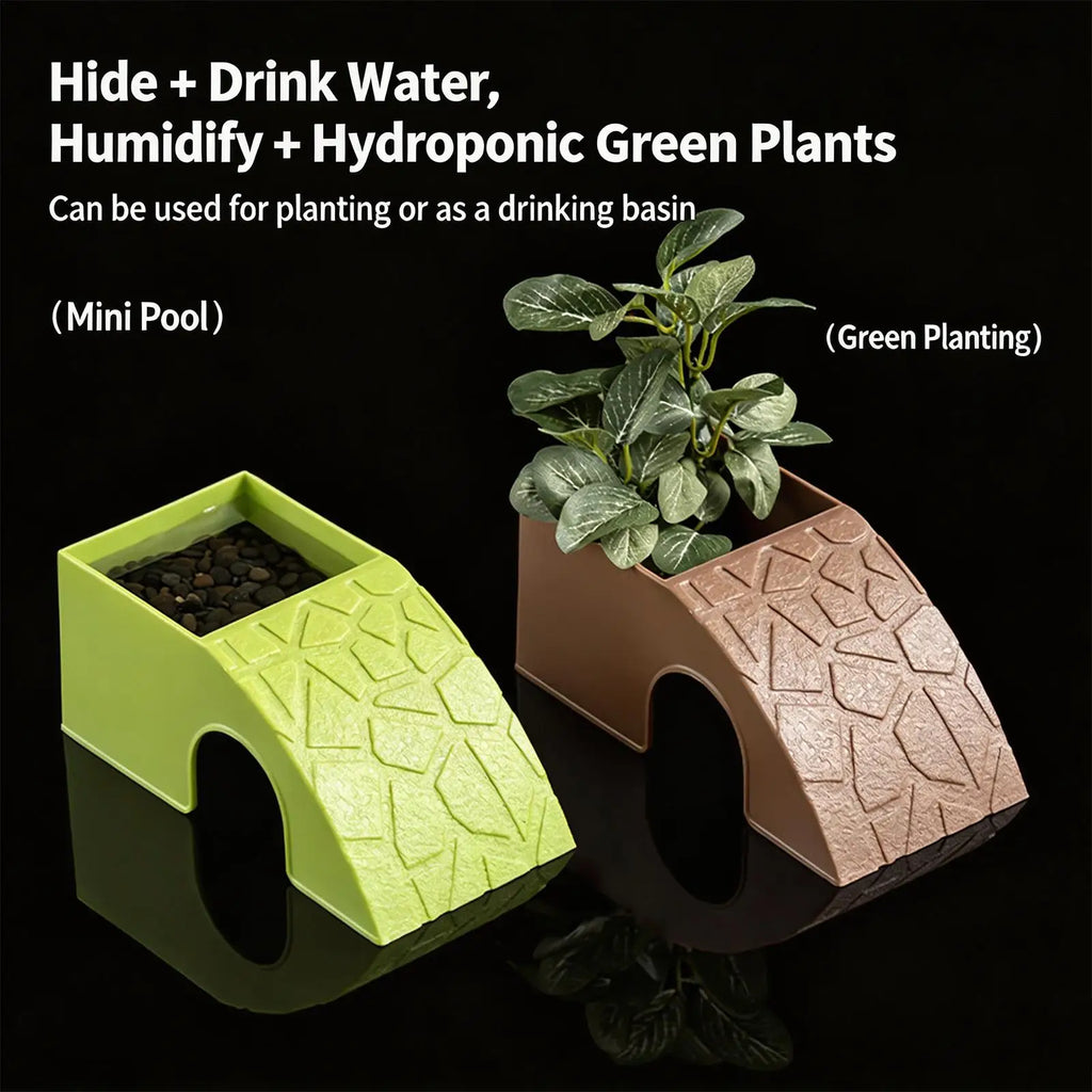 2-in-1 Reptile Hideout Bowl — Decorative Shelter & Water Dish for Geckos & Frogs