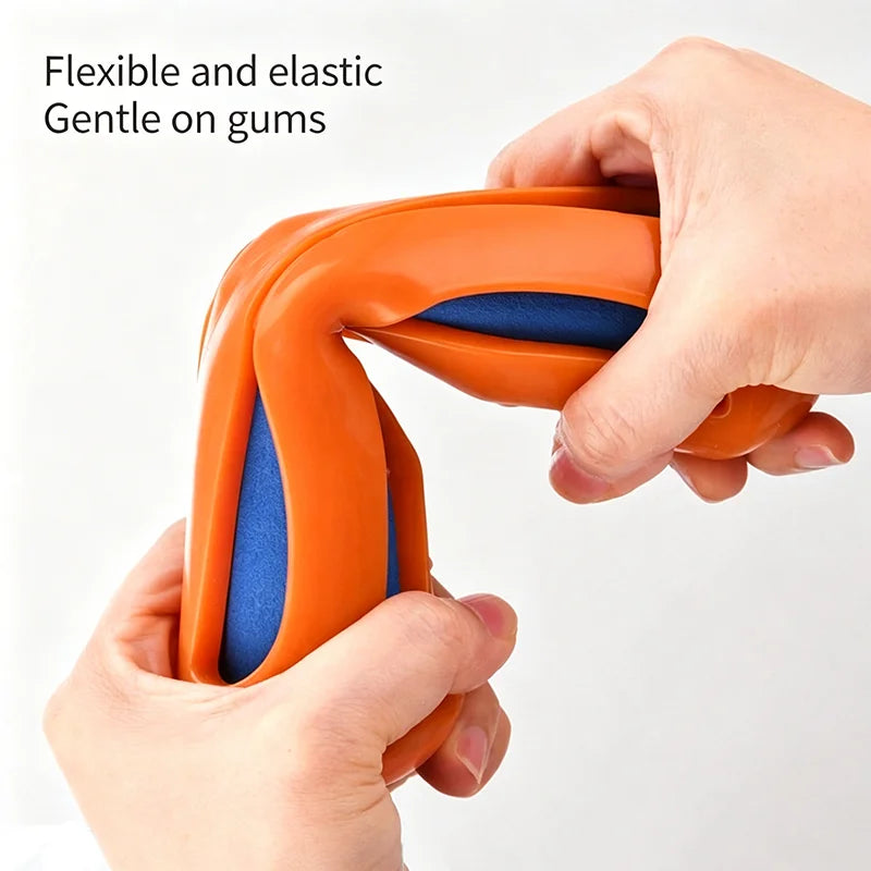 Elastic Water Float Toy — Chew-Proof Swimming Fetch Toy for Dogs