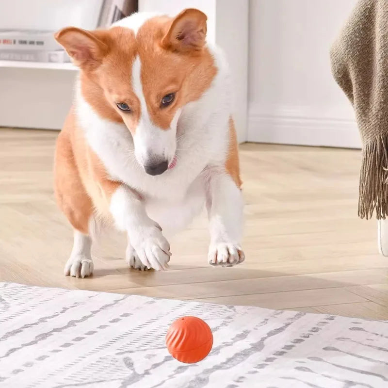 Smart Jumping Dog Ball — USB Rechargeable Rotating Chew Toy