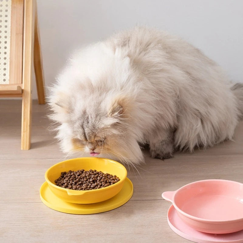Rubber Pet Meal Mat — Leak-Proof Anti-Slip Placemat for Cat & Dog Bowls