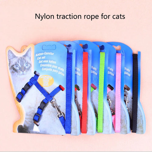 Cat Chest Harness Leash — Lightweight Chain-Style Lead for Cats