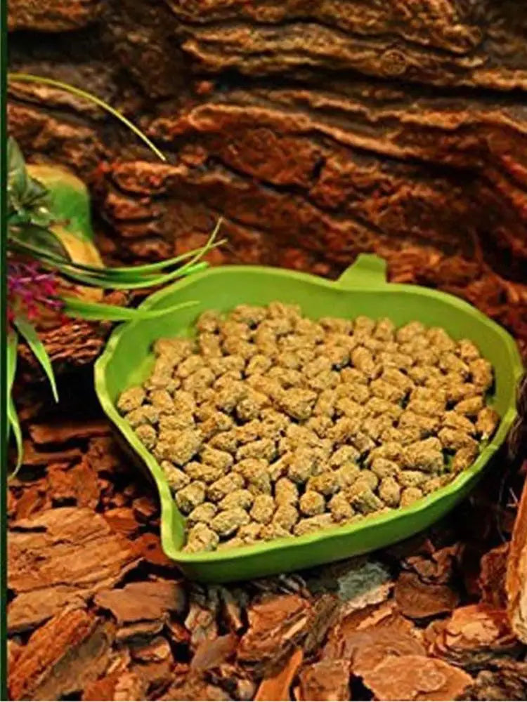 Leaf-Shaped Reptile Feeder Bowl — Food & Water Dish for Turtles & Small Pets