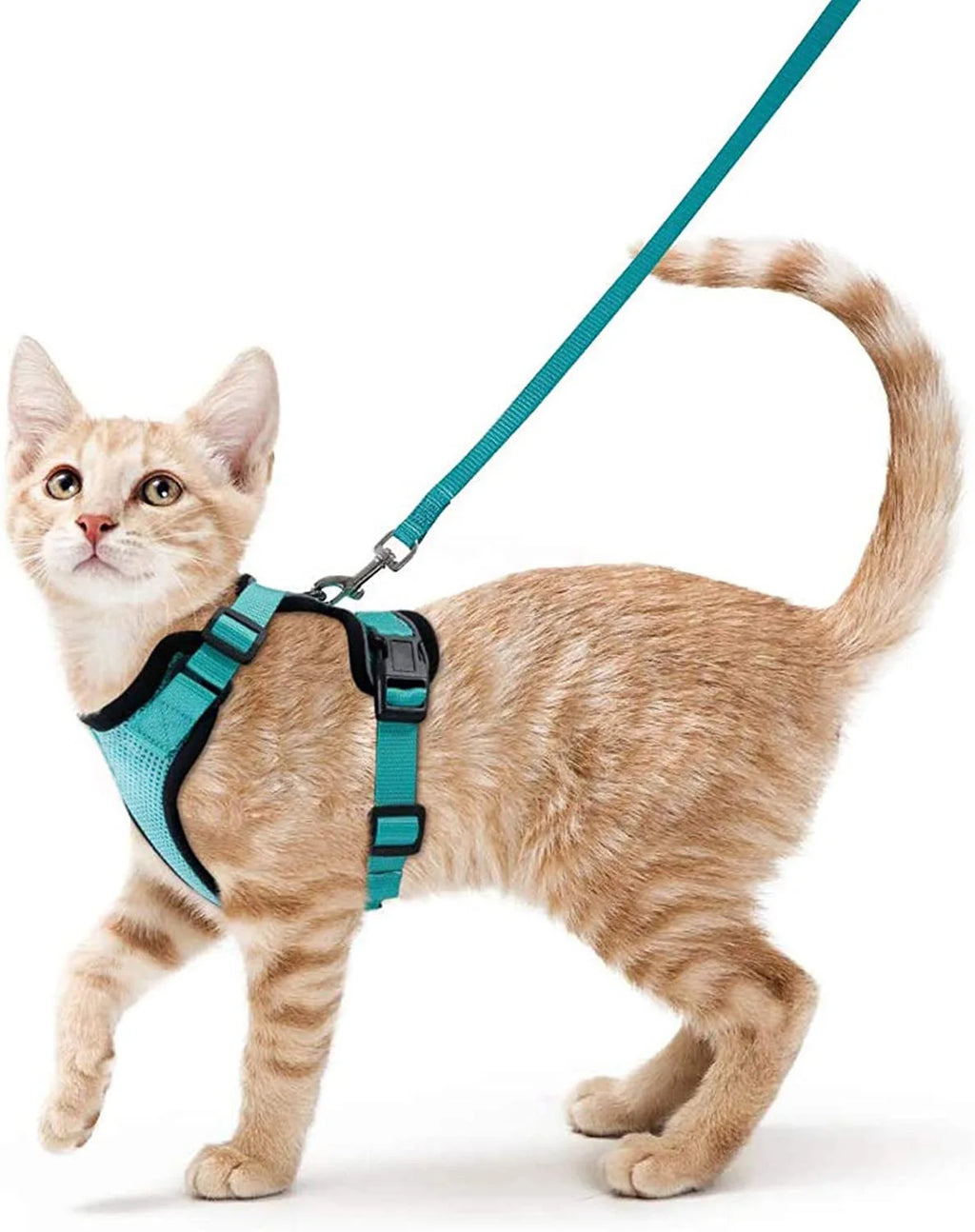 Escape-Proof Cat Harness & Leash Set — Soft Adjustable Vest for Easy Control