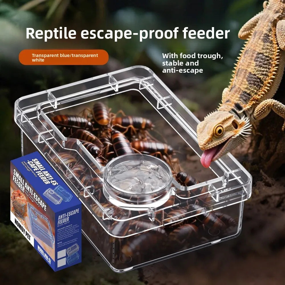 Anti-Overturn Reptile Feeding Trough — Live Feed Bowl for Lizards & Geckos