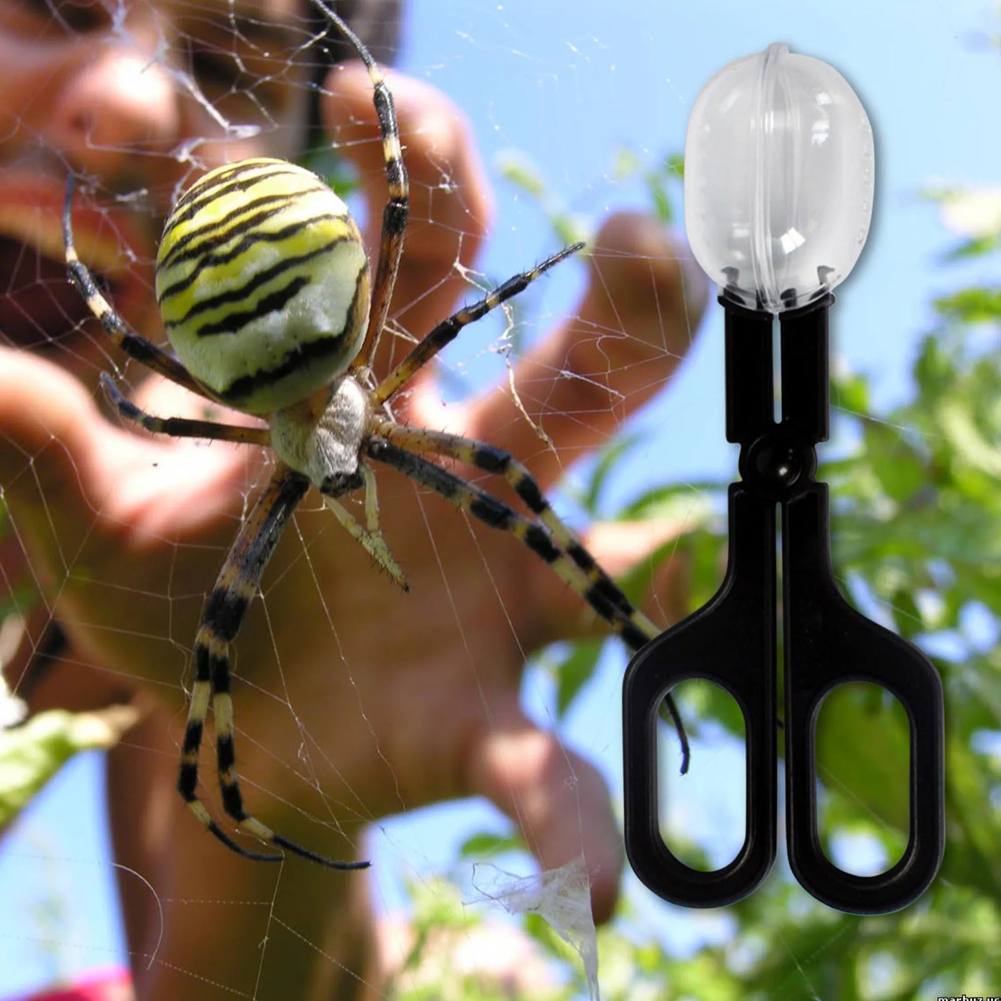 Reptile Feeding Tongs — Plastic Tweezers for Lizards, Frogs & Spiders