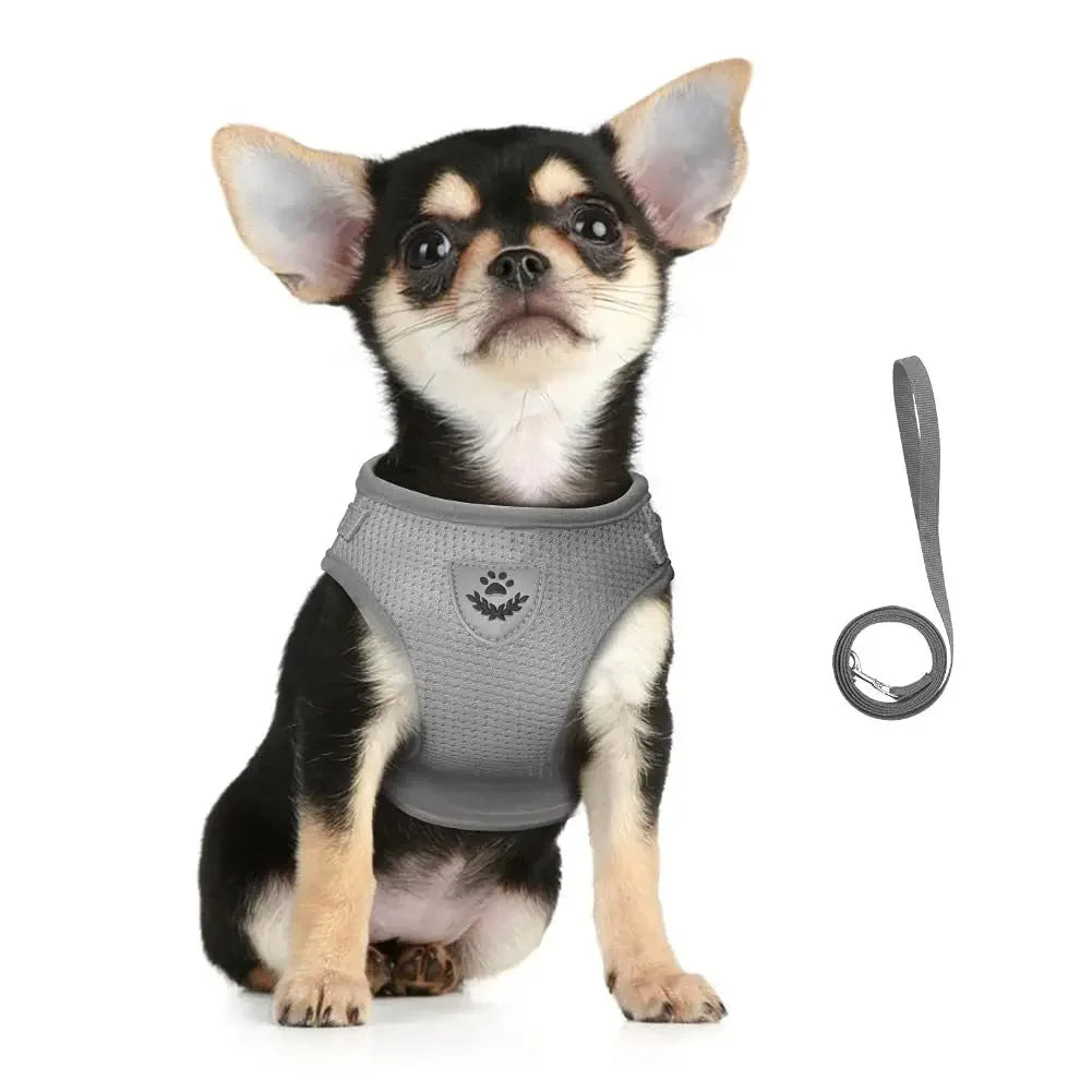 Reflective Escape-Proof Harness & Leash Set — Adjustable Mesh Vest for Cats & Dogs