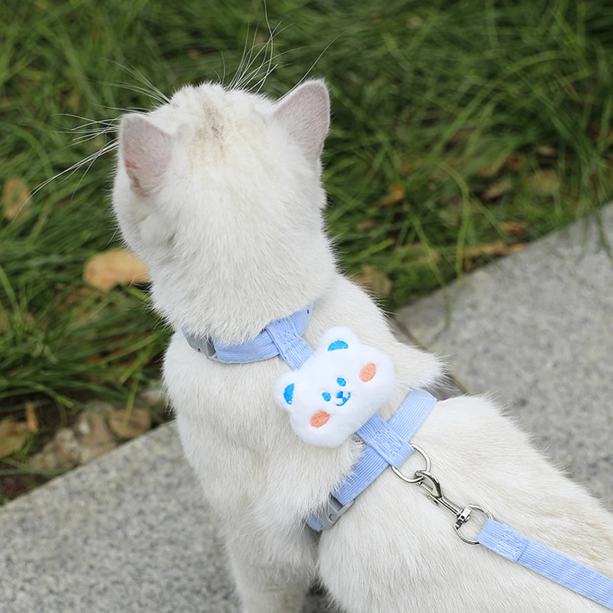 Cat & Dog Harness and Leash Set — Adjustable Breathable Walking Harness