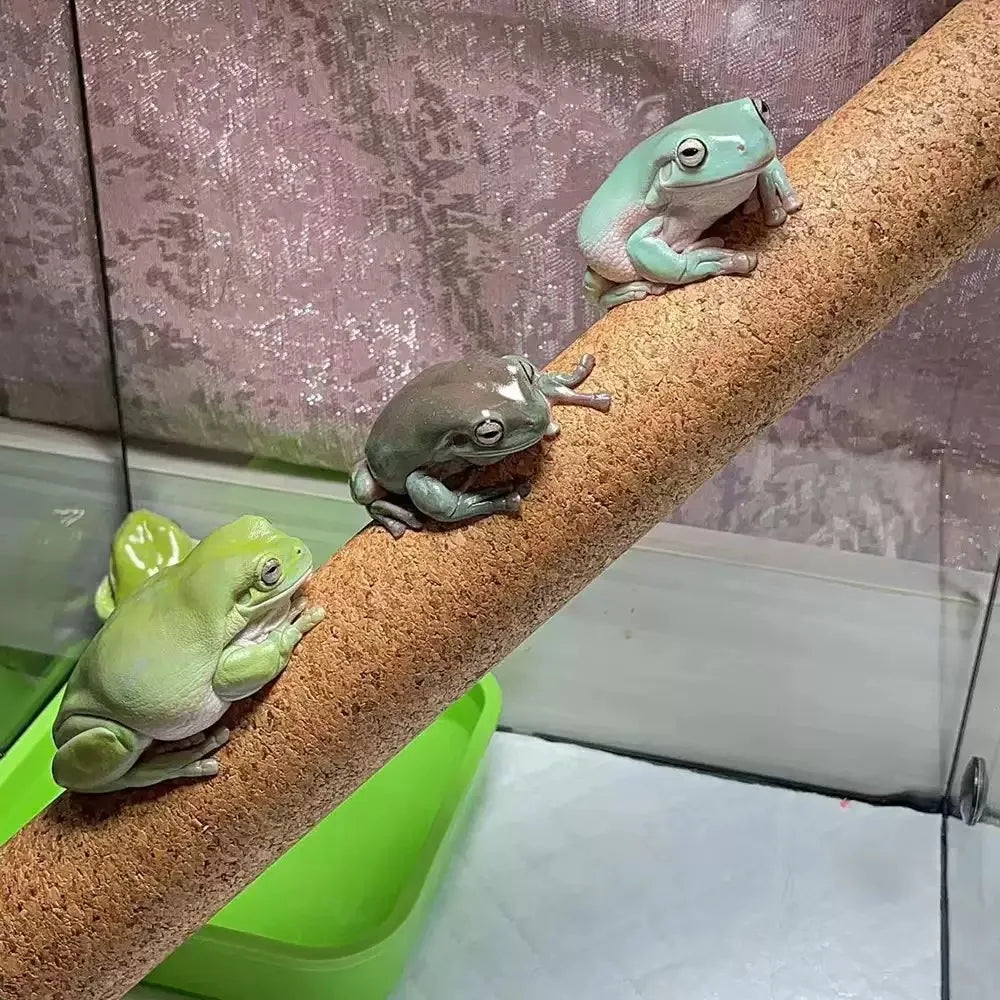 Reptile Climbing Branch — Soft Wood Terrarium Decor for Geckos & Lizards