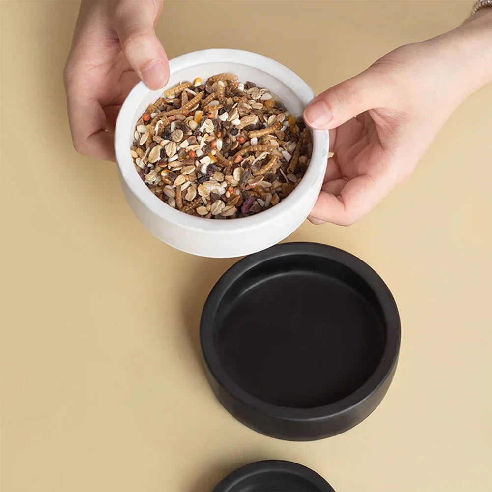 Anti-Escape Ceramic Reptile Bowl — Food & Water Dish for Geckos & Hermit Crabs