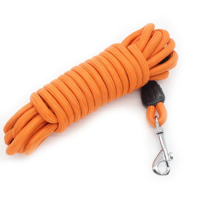 Heavy-Duty Nylon Recall Leash — Agility & Long-Line Training for Medium to Large Dogs