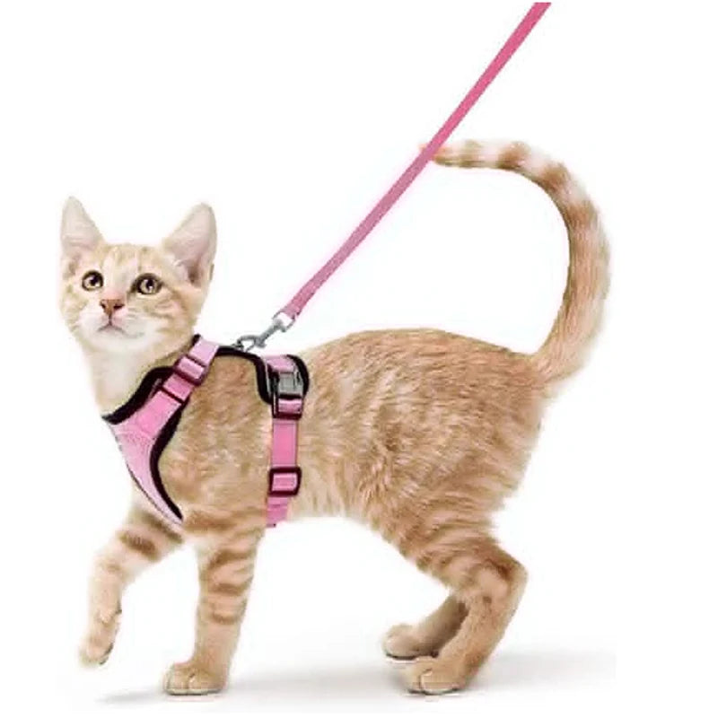 Escape-Proof Cat Harness & Leash Set — Soft Adjustable Vest for Easy Control