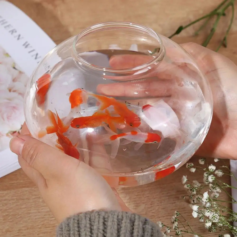 Glass Fish Bowl — Small Transparent Aquarium for Betta & Ornamental Fish