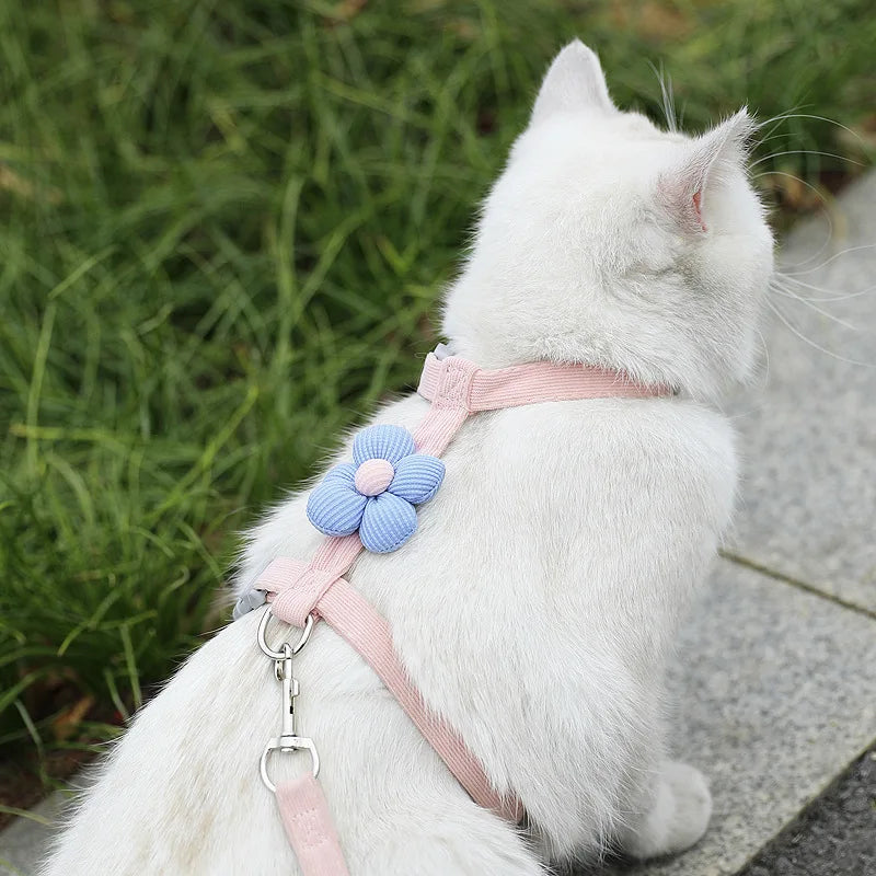 Cat & Dog Harness and Leash Set — Adjustable Breathable Walking Harness