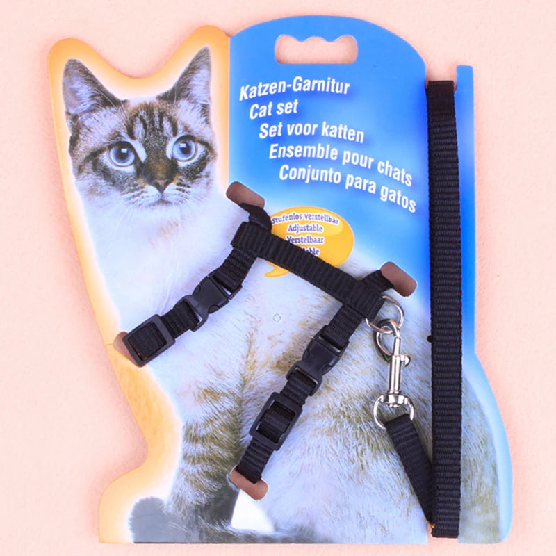 Cat Chest Harness Leash — Lightweight Chain-Style Lead for Cats