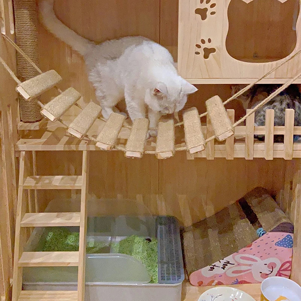 Sisal Rope Cat Climbing Bridge — Wooden Cat Tree Ladder for Cage or Room Use
