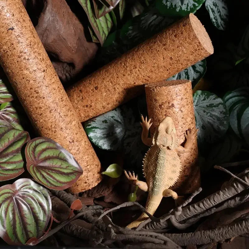Reptile Climbing Branch — Soft Wood Terrarium Decor for Geckos & Lizards
