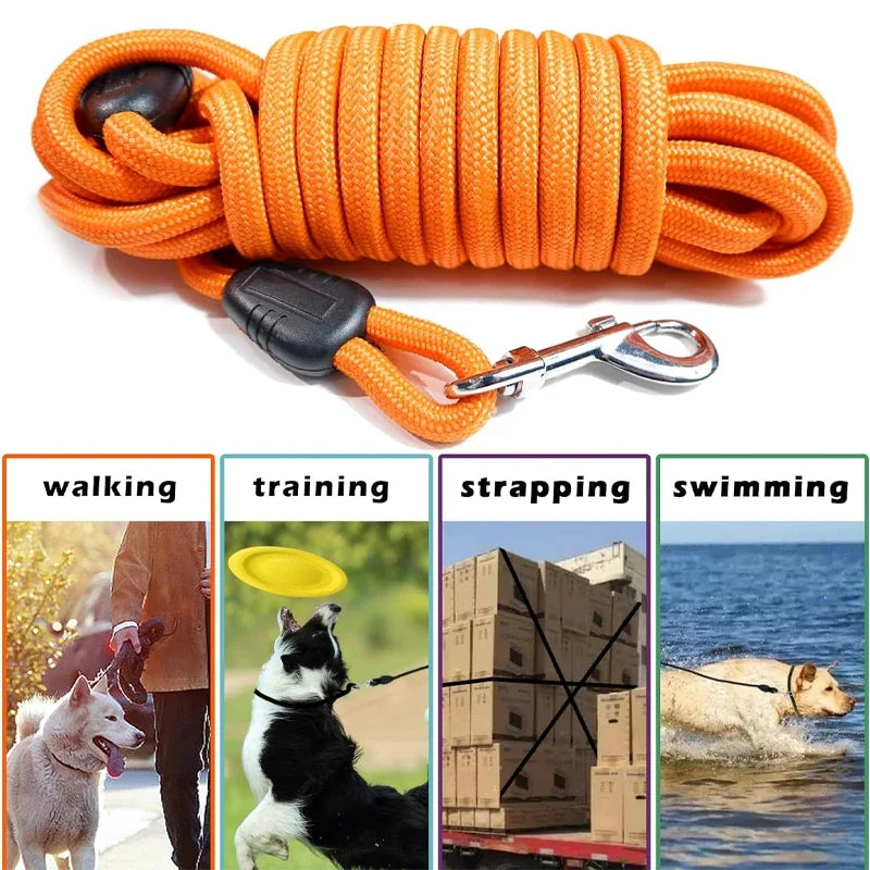 Heavy-Duty Nylon Recall Leash — Agility & Long-Line Training for Medium to Large Dogs