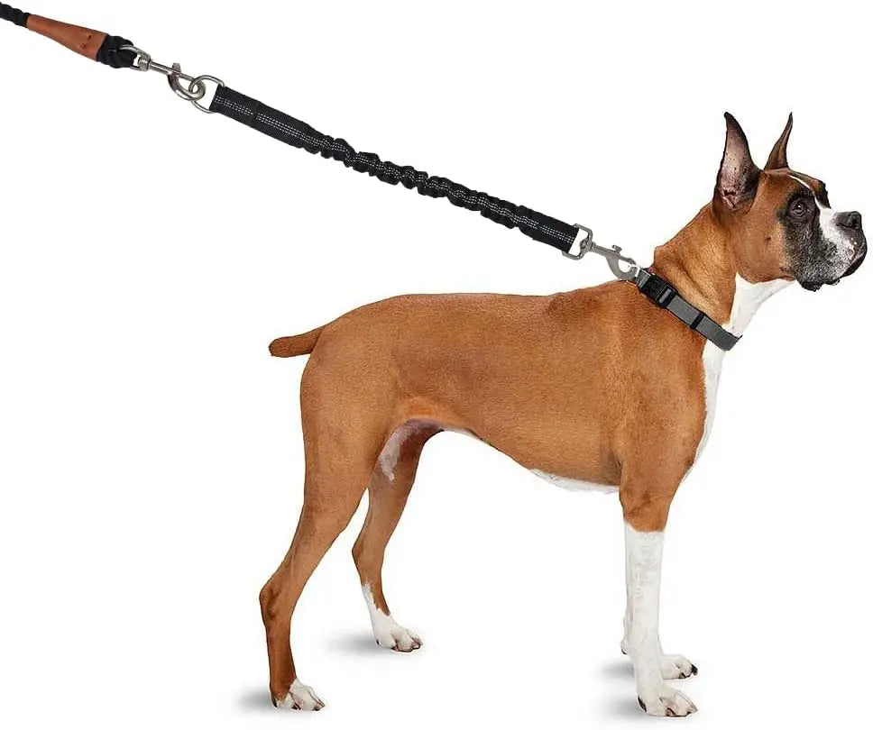 Adjustable Dog Leash Extension — Retractable Extender with Metal Buckle